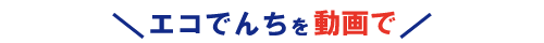 エコでんちを動画で