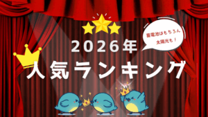 2026年人気ランキング